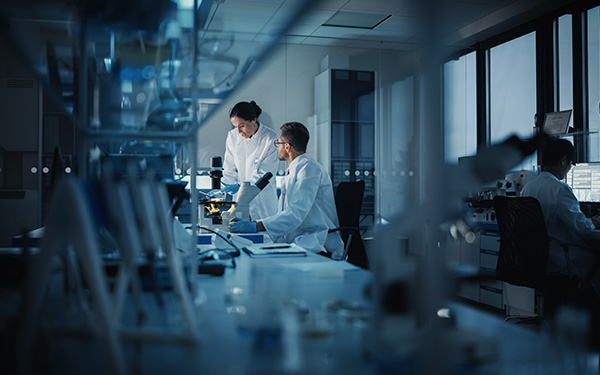 Research Grant