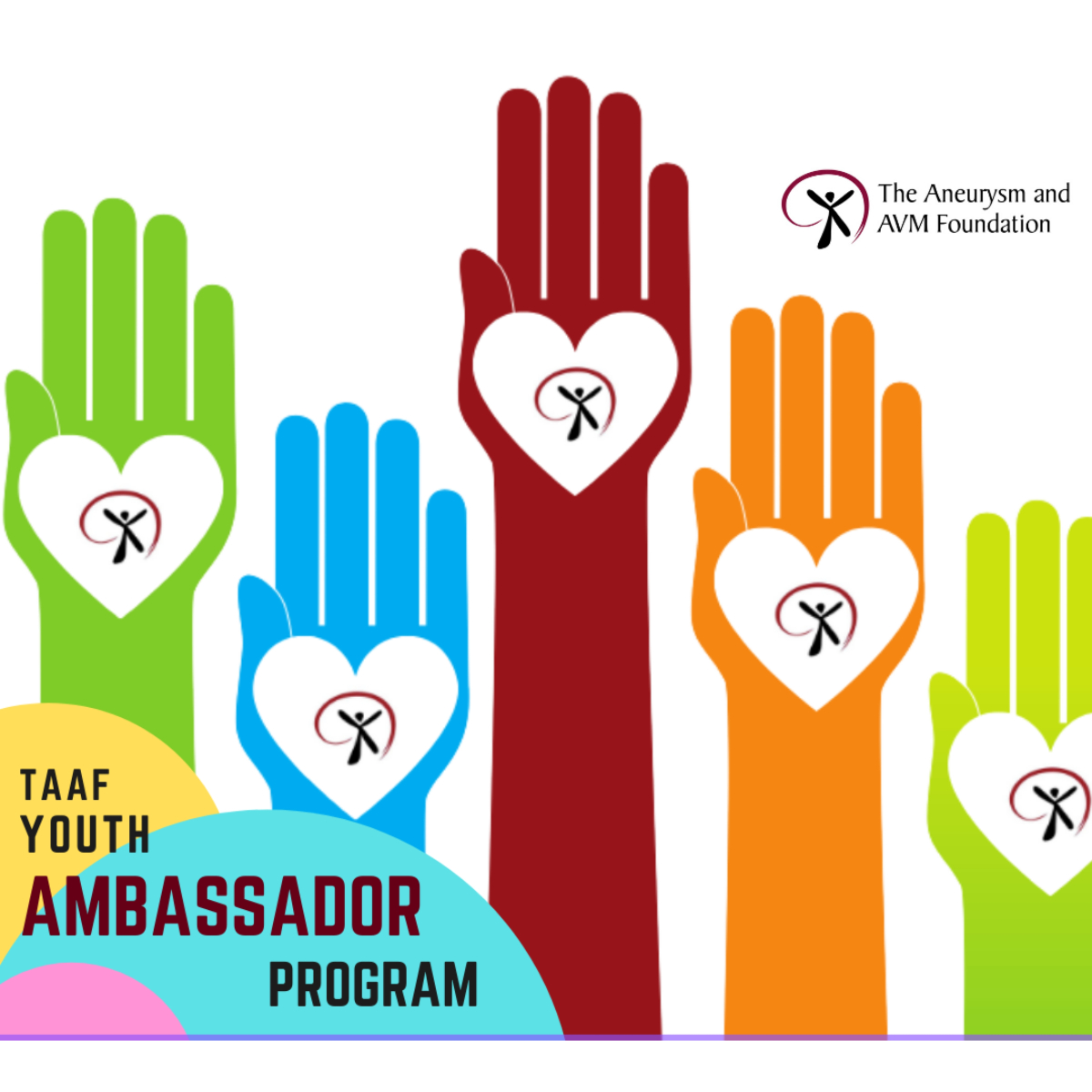 Youth Ambassador Program